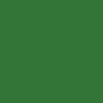 STAHLS' CAD-CUT Fancy Lysegr&oslash;n Tekstilfolie - Light Green - 422