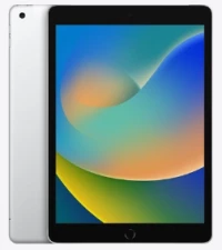Apple iPad 9 256GB WiFi - Cellular - Sølv - 2021 - Grade B