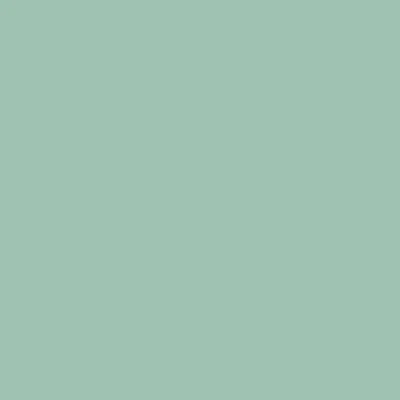 STAHLS' CAD-CUT SportsFilm - Salviegr&oslash;n - Sage green - 423 