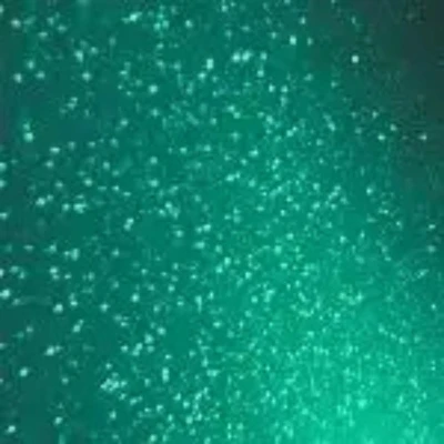 SkilPro Gemstone Cast Metallic 8220 Emerald Folie