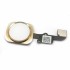 iPhone 6/6+  Home Knap Assembly - Gold