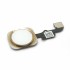 iPhone 6/6+  Home Knap Assembly - Gold
