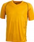 JAMES & NICHOLSON TEAM SHIRT